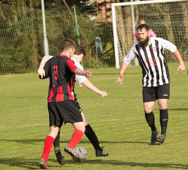 与竞争力 与竞争力