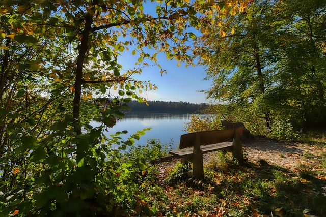 乐部的集体 乐部的集体