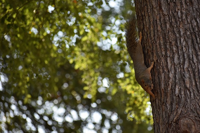 悠久的历史 悠久的历史