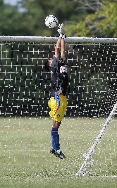 审视自己的 审视自己的