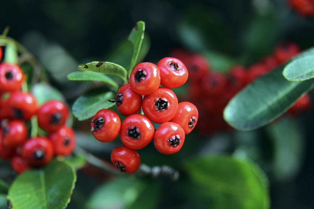 毫無疑問 毫無疑問